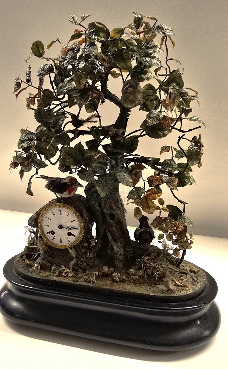 buisson oiseaux chanteurs bontems