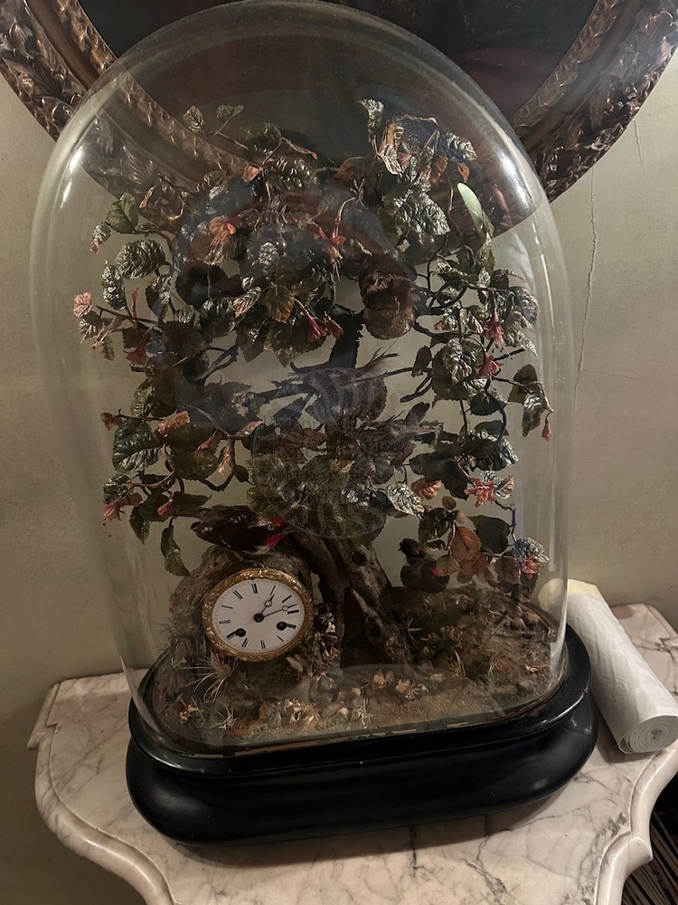 buisson oiseaux chanteurs bontems 4