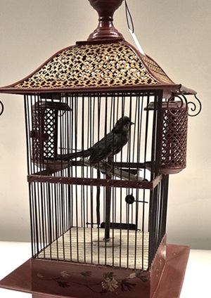 cage oiseau bontems couv