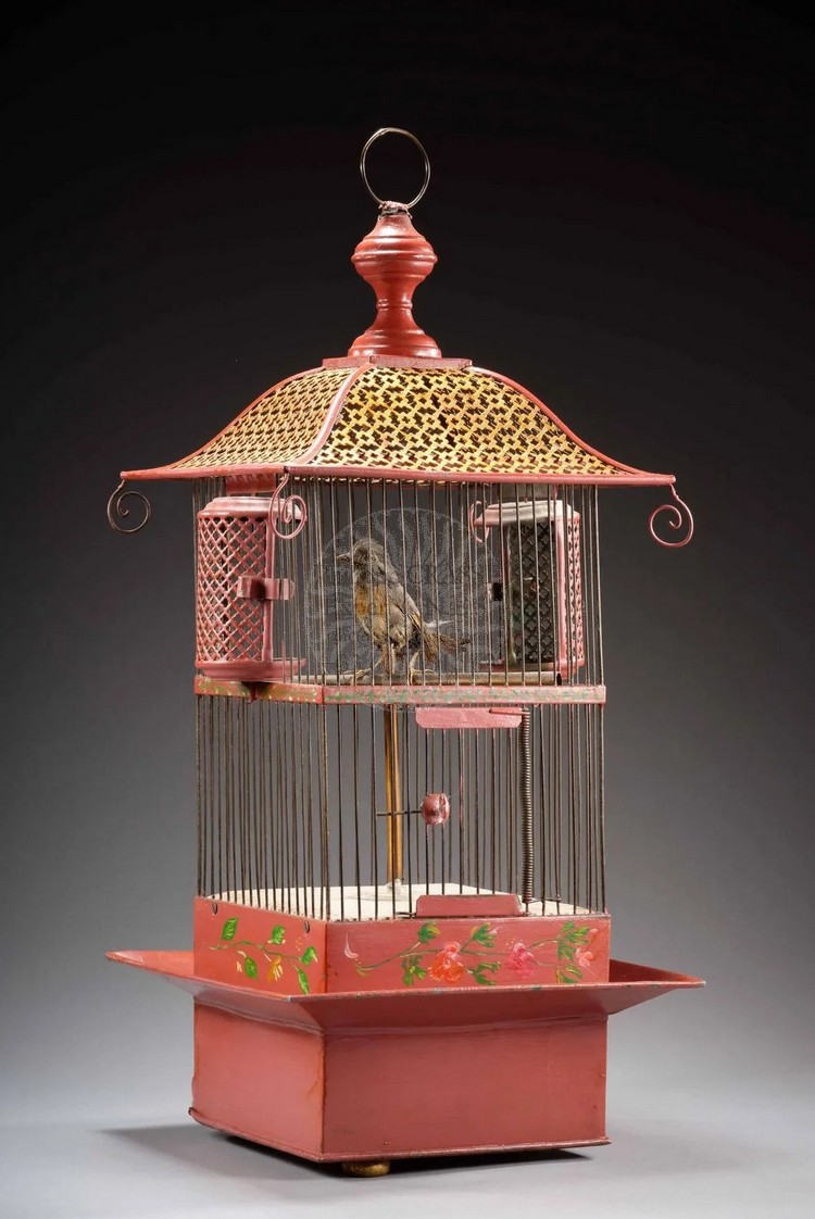 cage oiseau hdv