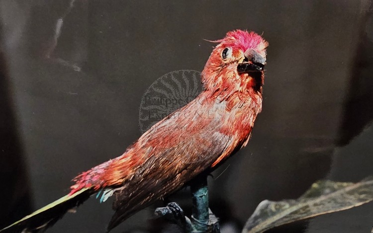 vase oiseau chanteur bontems