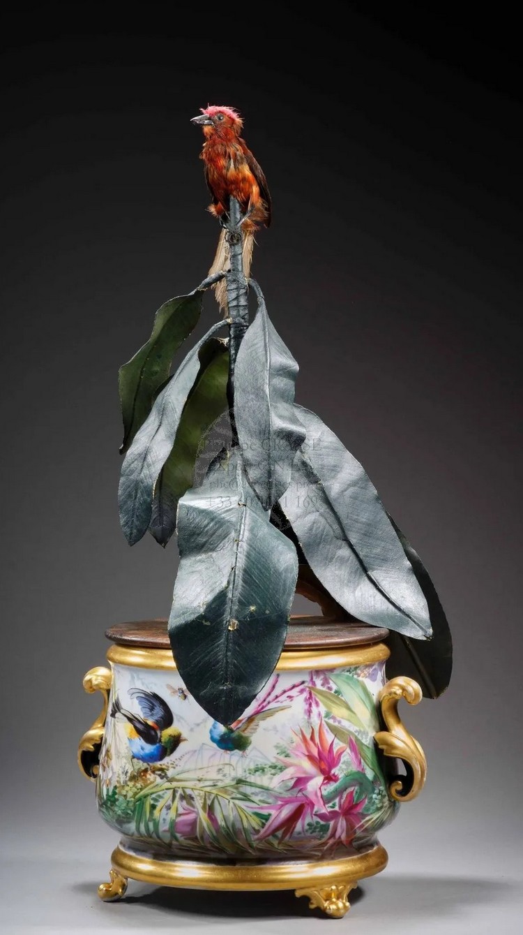 vase vieux paris oiseau chanteur hdv