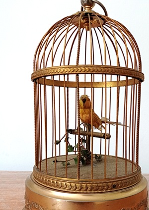 cage-oiseau-chanteur