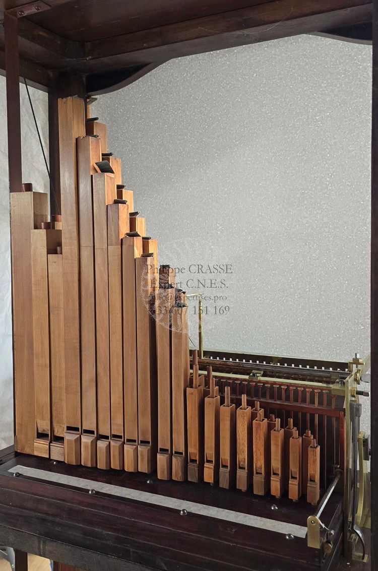 aulodion kaufman dresden salonorgel pfeifenwerke