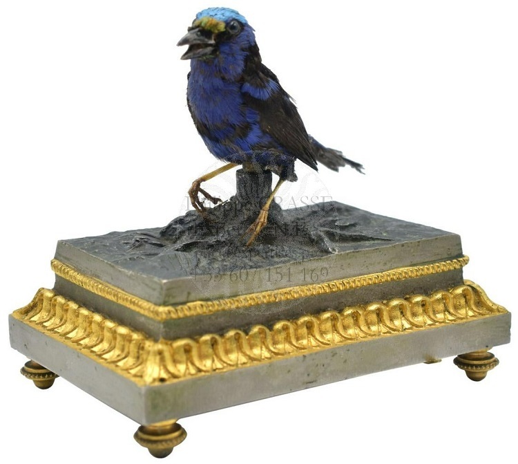 oiseau chanteur socle 1